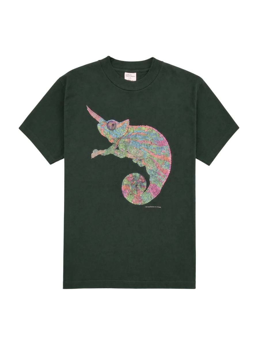 OTHER:Tシャツ/カットソー / M / グリーン | SHIPS CYCLE MARKET
