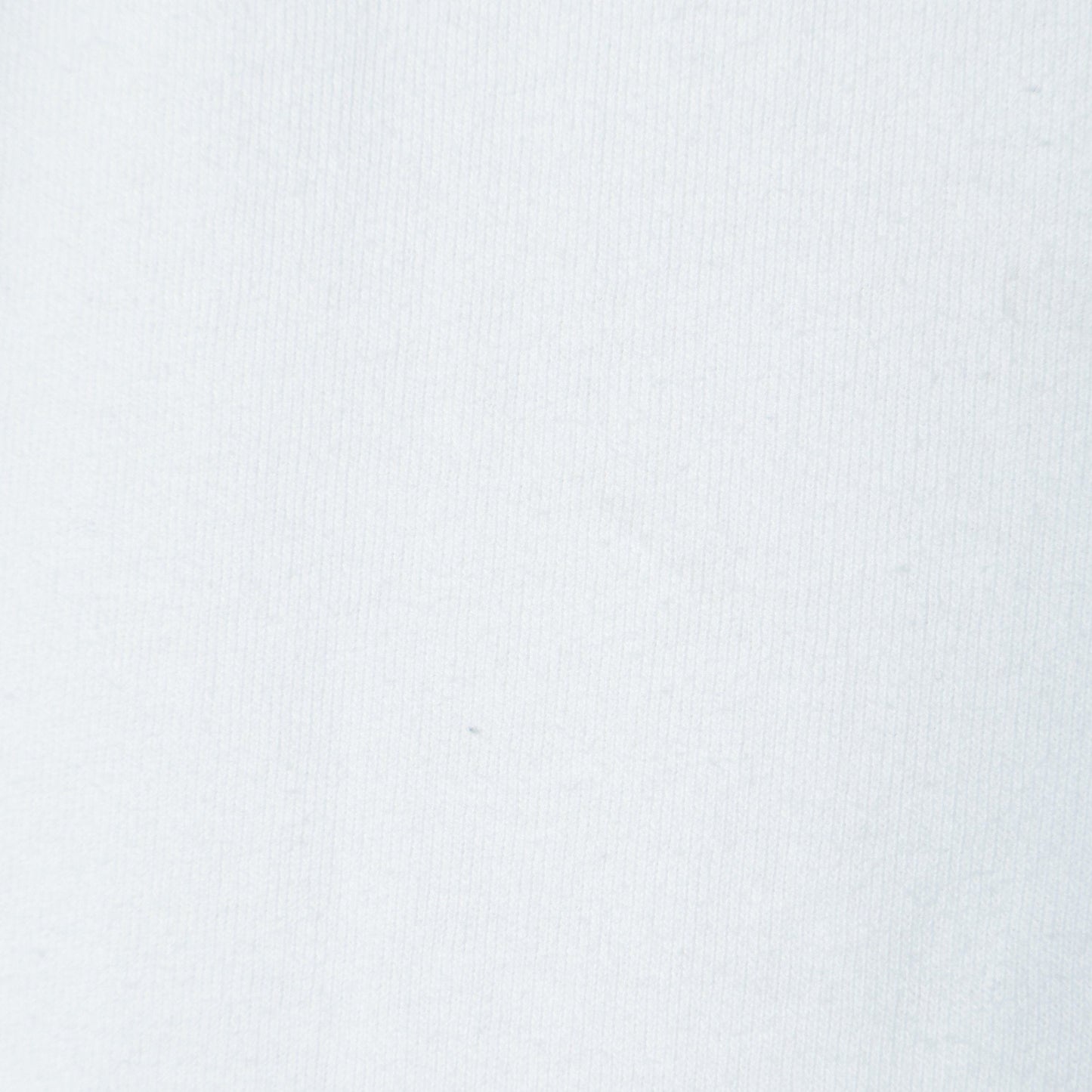 【SHIPS別注】81BRANCA:5分袖 ロゴ TEE 24SS