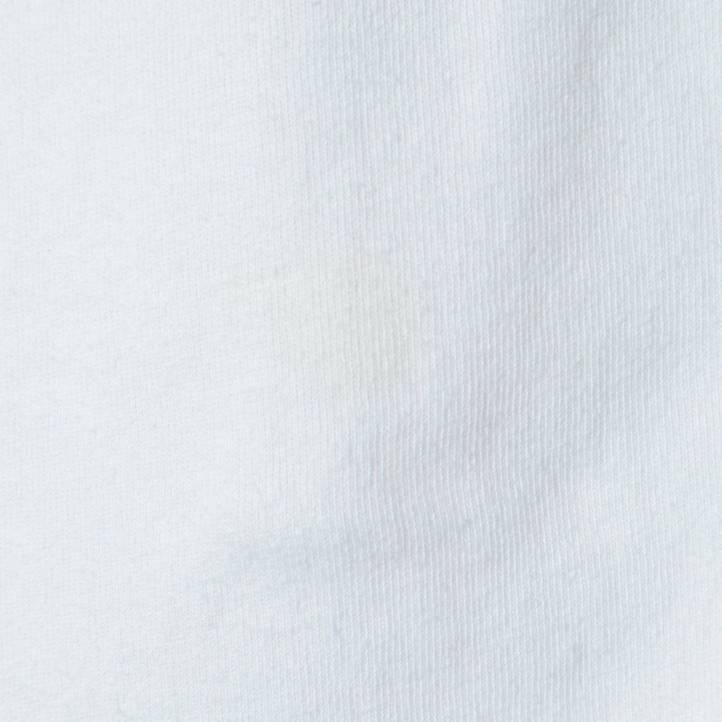 【SHIPS別注】81BRANCA:5分袖 ロゴ TEE 24SS