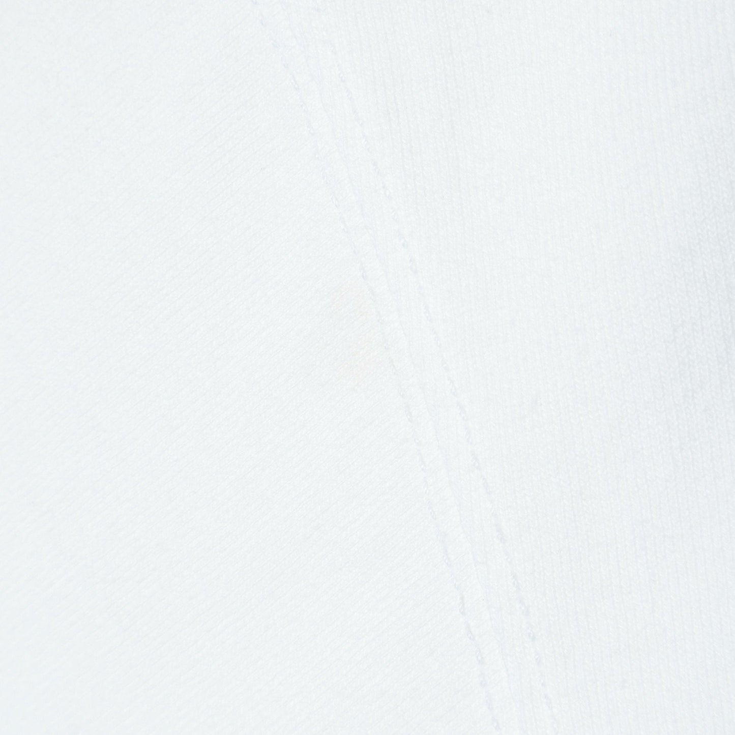 SHIPS: Karl Blossfeldt フォト プリント Tシャツ