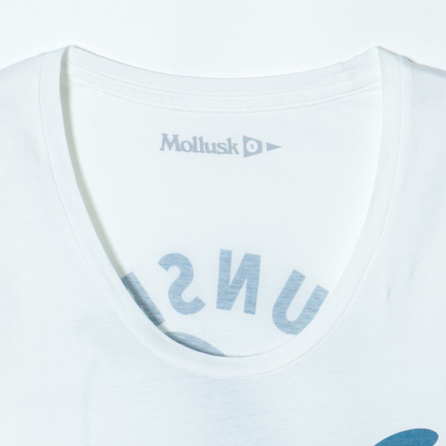 MOLLUSK:SILVER FIN
