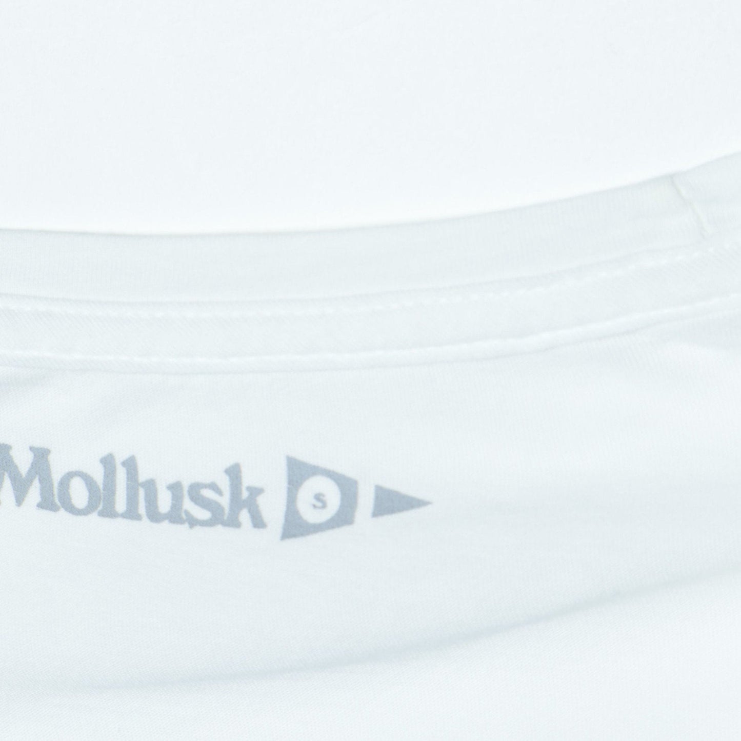 MOLLUSK:SILVER FIN