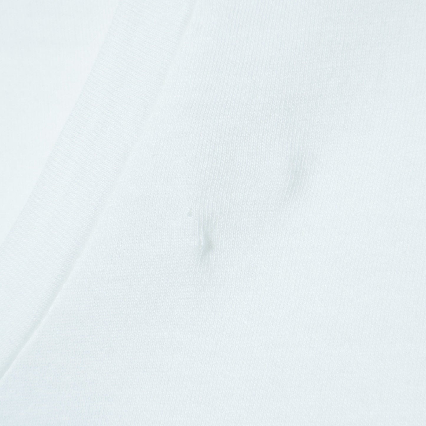 MOLLUSK:SILVER FIN
