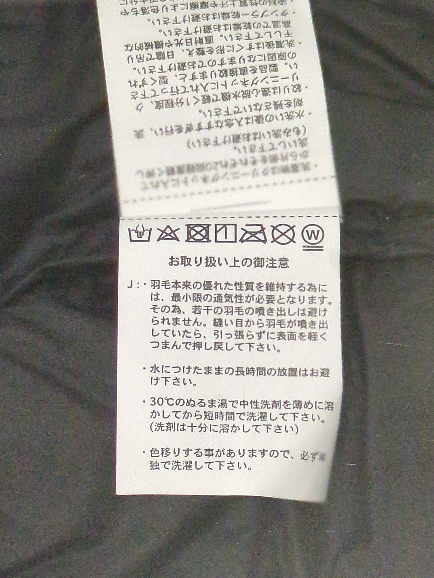 TAION:ダウン