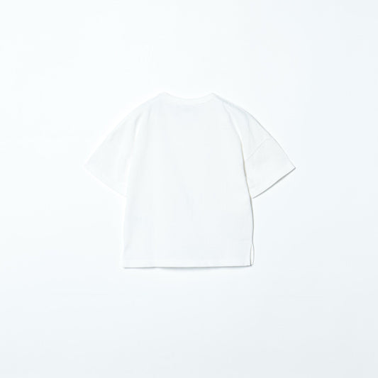 TAION:Tシャツ/カットソー