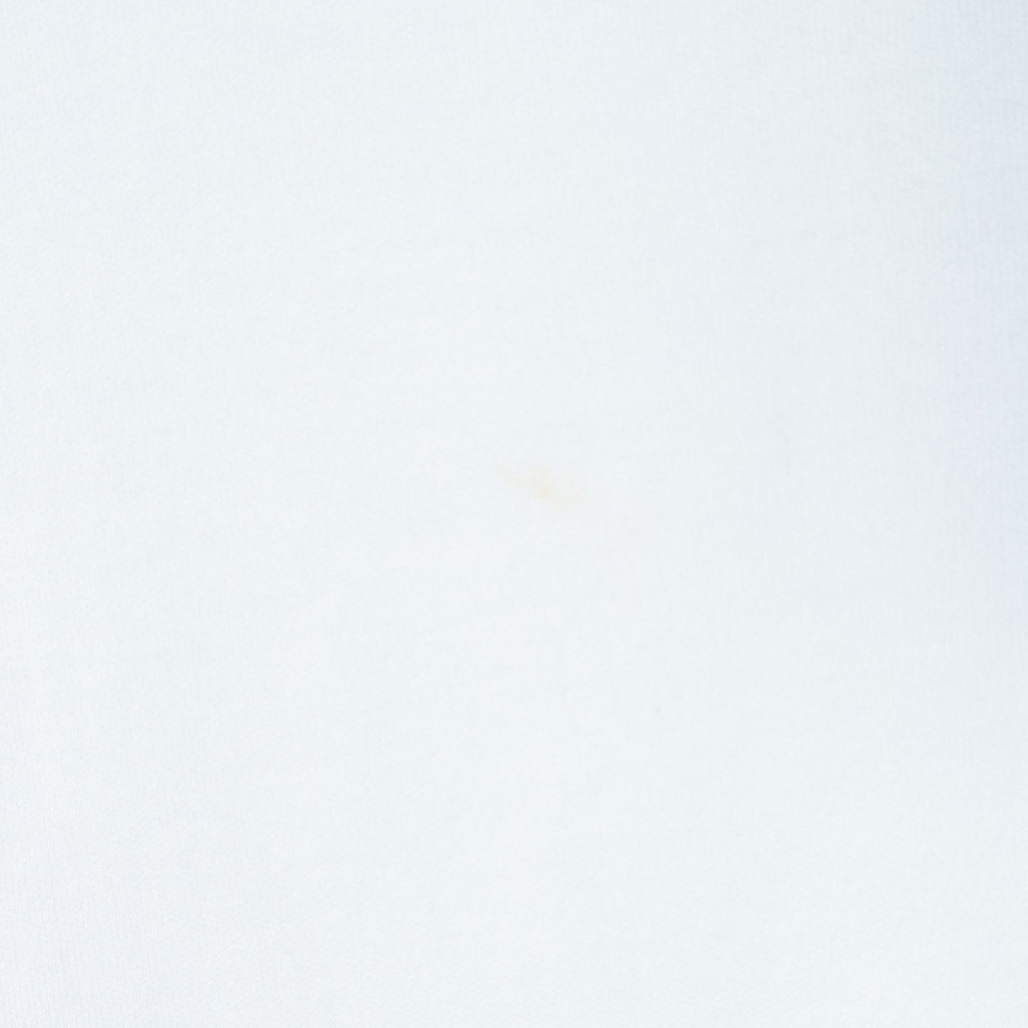 TORRAZZO DONNA:〈手洗い可能〉ドット シアー スリーブ カットソー