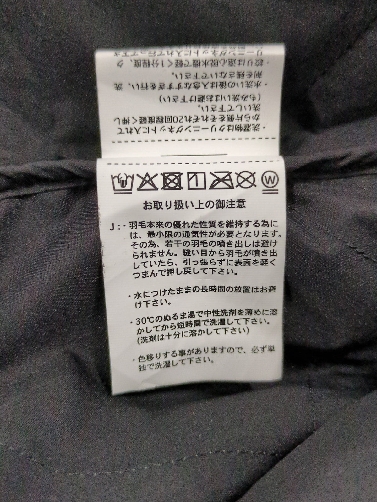 TAION:ダウン