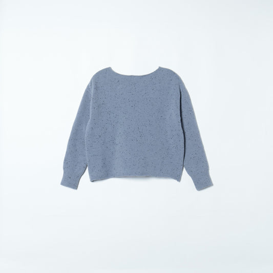 SHIPS:WL NEP V/N POV