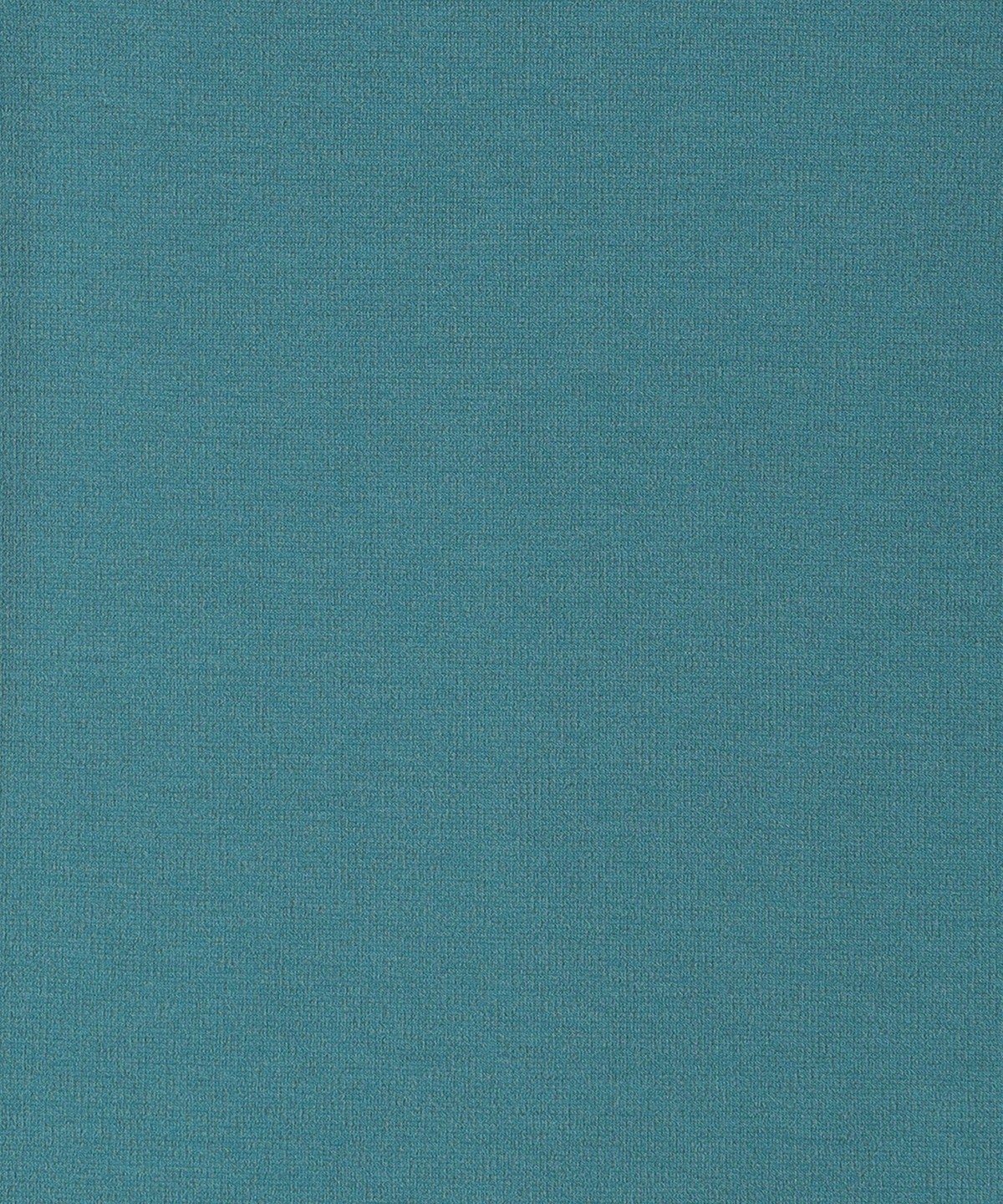 SHIPS:Tシャツ/カットソー