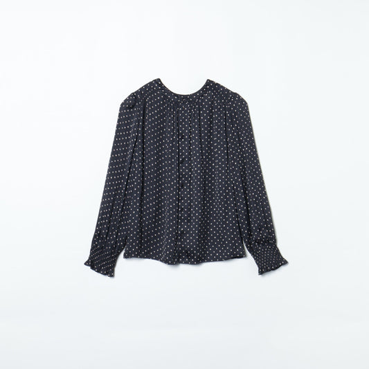 SHIPS:DOT PL GATHER BL