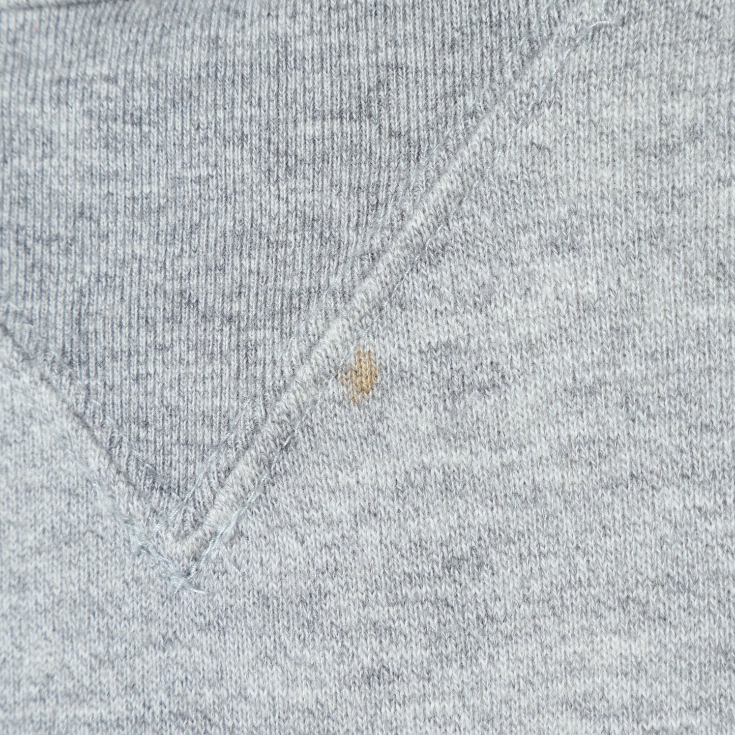 CHAMPION:Tシャツ/カットソー