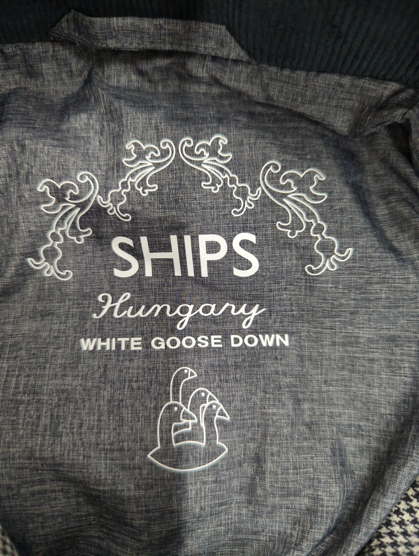 SHIPS:ダウン