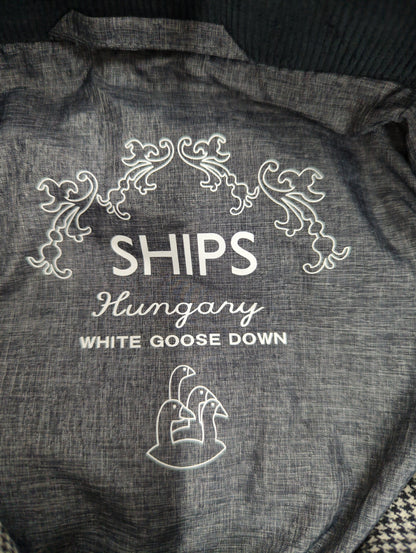SHIPS:ダウン