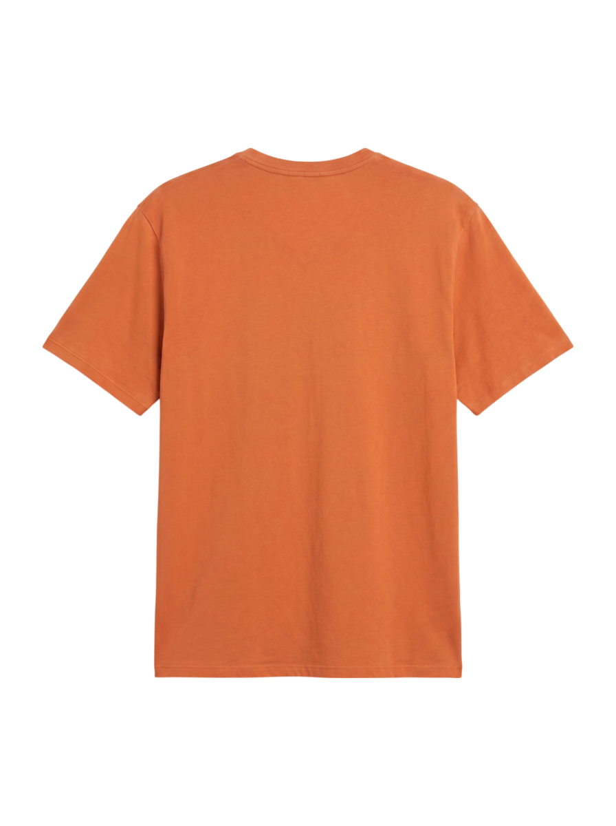 SHIPS:Tシャツ/カットソー