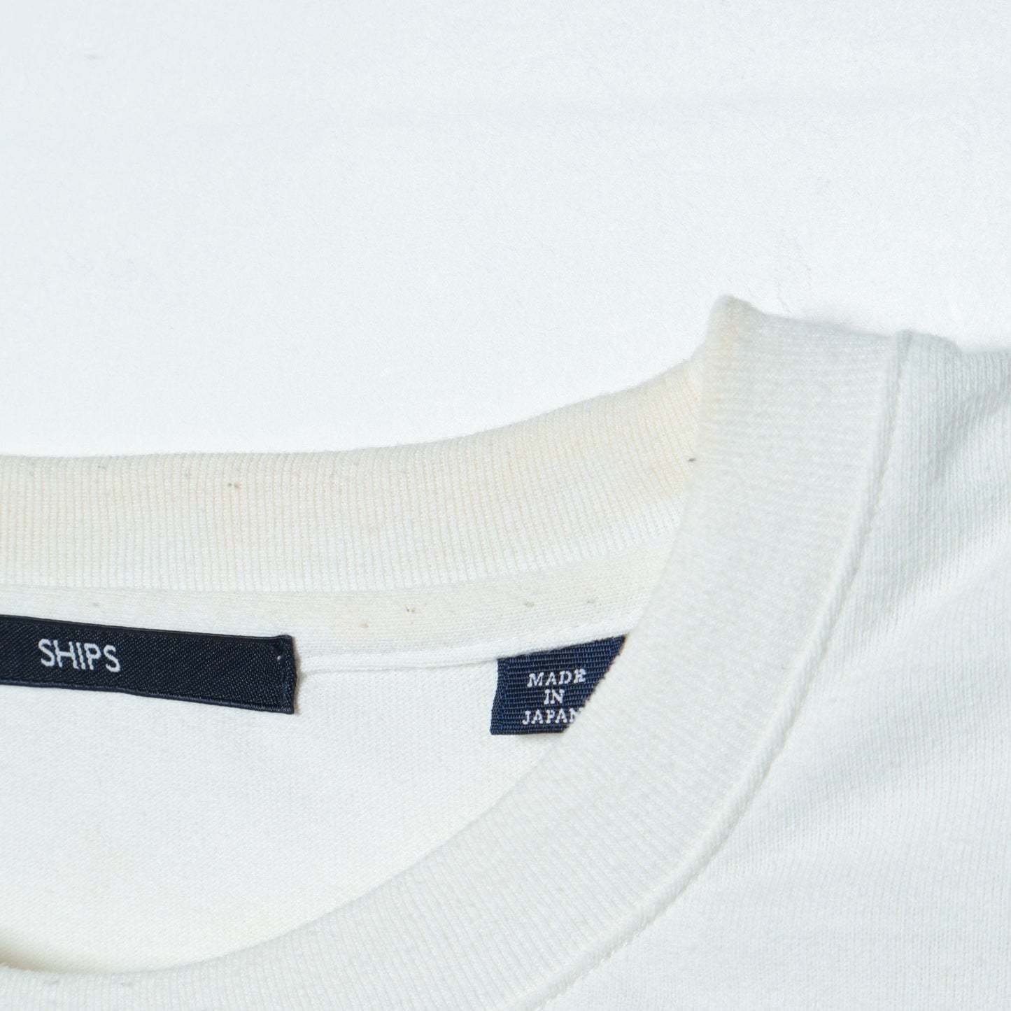 SHIPS: policott（R) パネル Tシャツ