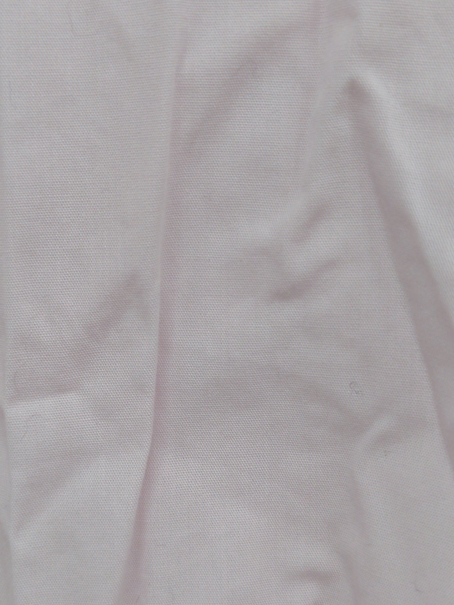 SHIPS Primary Navy Label:〈手洗い可能〉ALBINIコットンビッグワイズシャツ