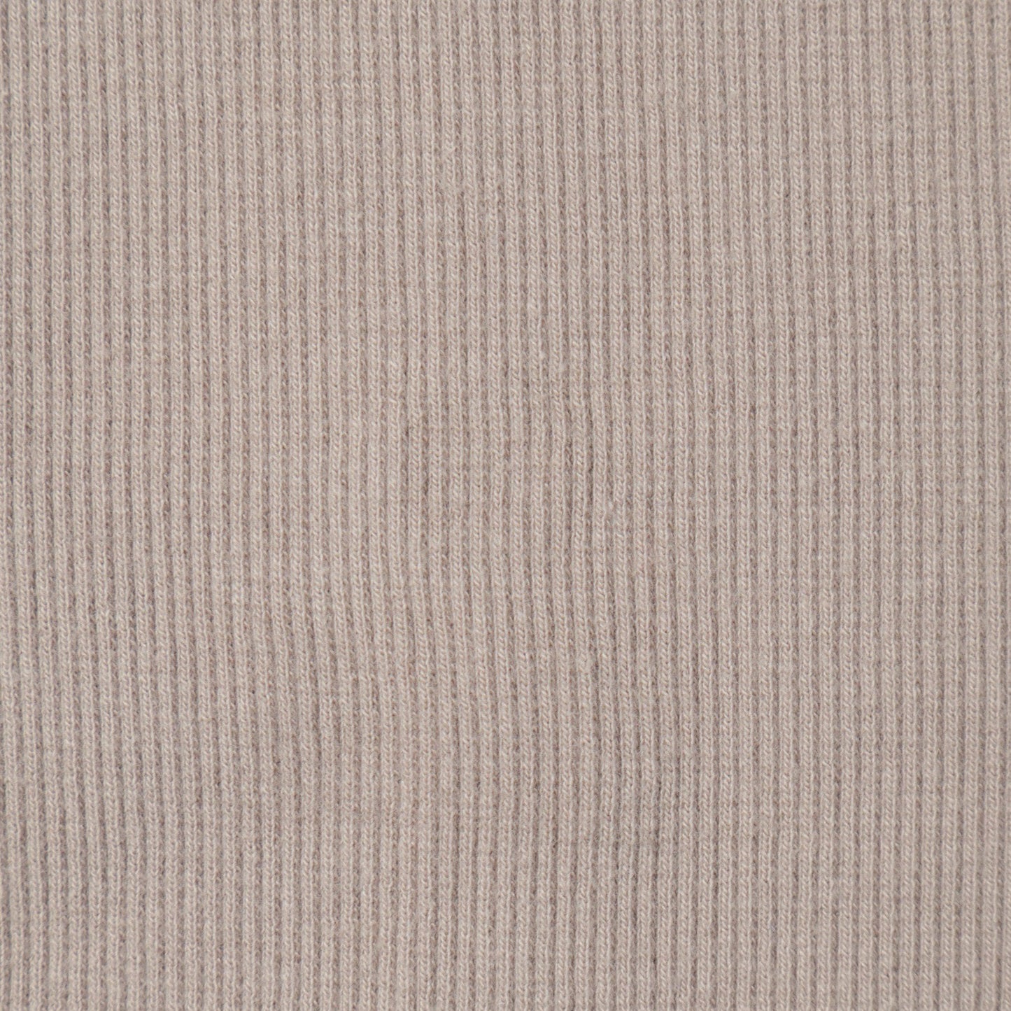 SHIPS:Tシャツ/カットソー