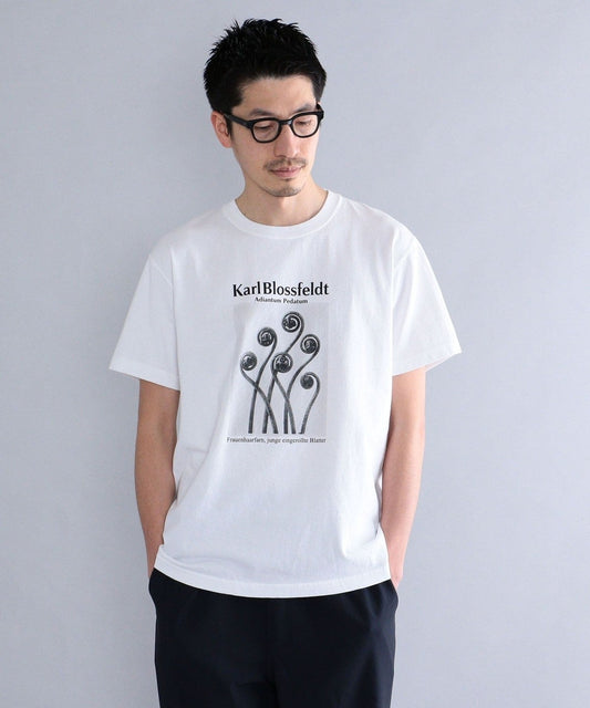 SHIPS: Karl Blossfeldt フォト プリント Tシャツ