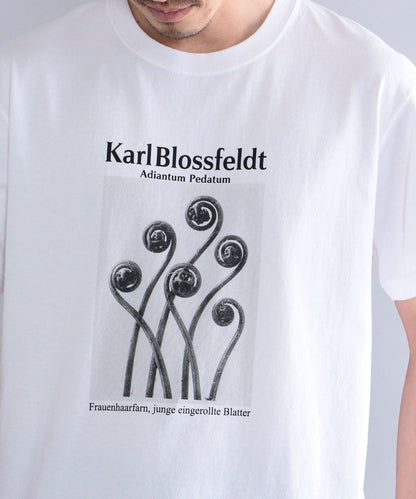 SHIPS: Karl Blossfeldt フォト プリント Tシャツ