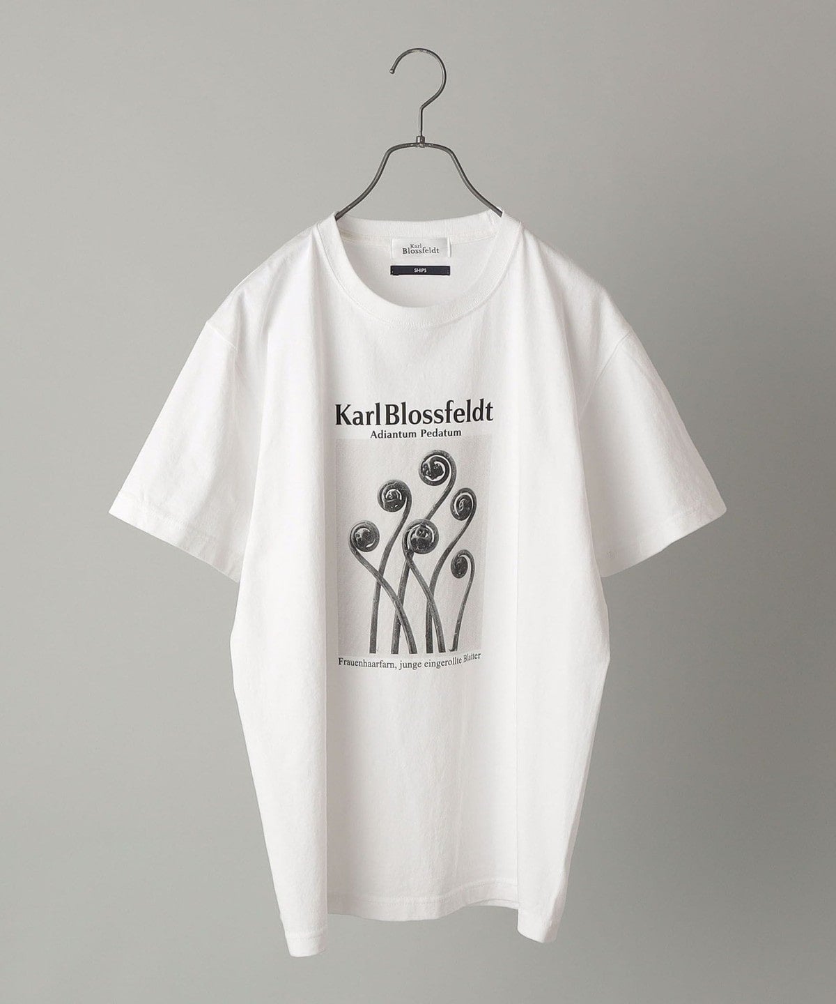 SHIPS: Karl Blossfeldt フォト プリント Tシャツ