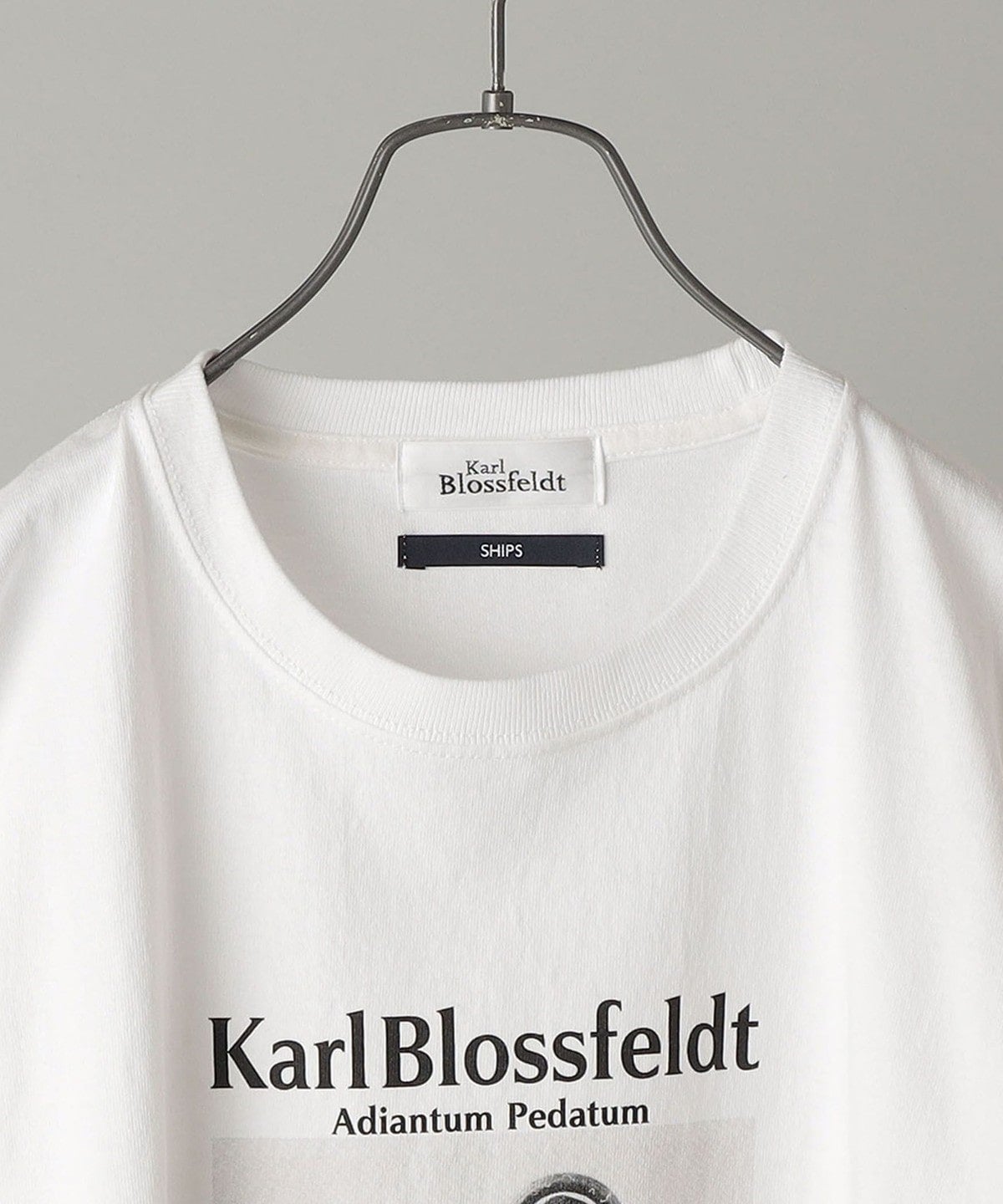 SHIPS: Karl Blossfeldt フォト プリント Tシャツ