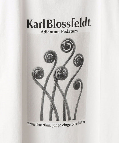 SHIPS: Karl Blossfeldt フォト プリント Tシャツ