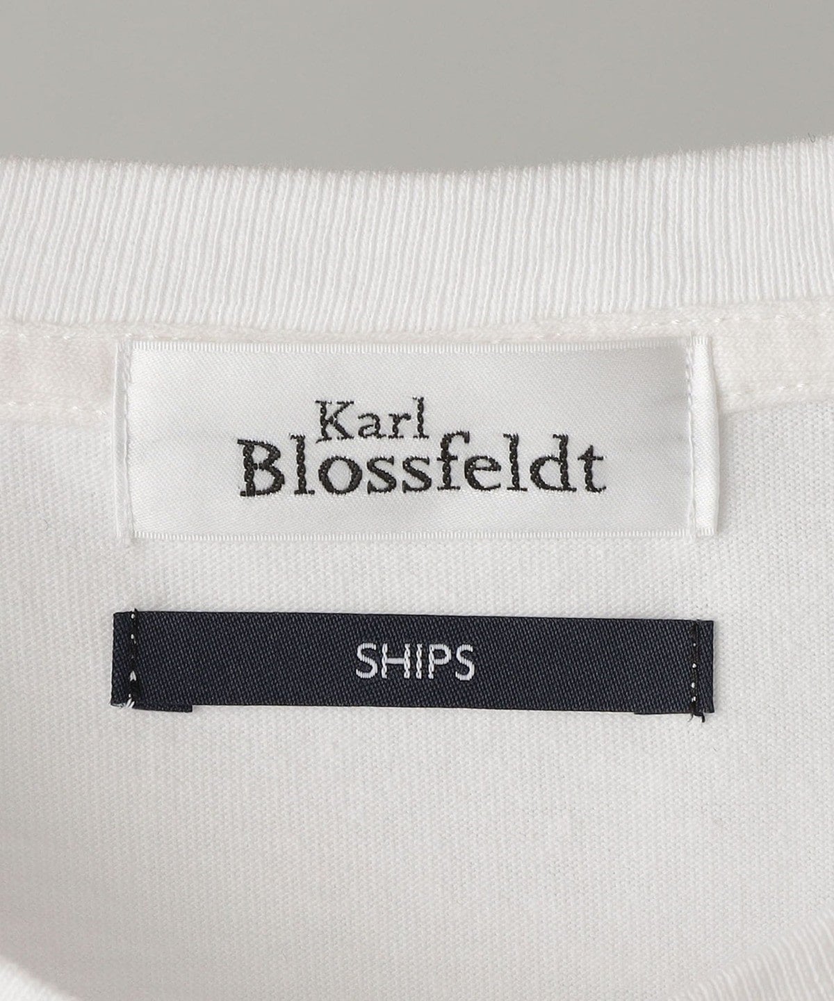 SHIPS: Karl Blossfeldt フォト プリント Tシャツ