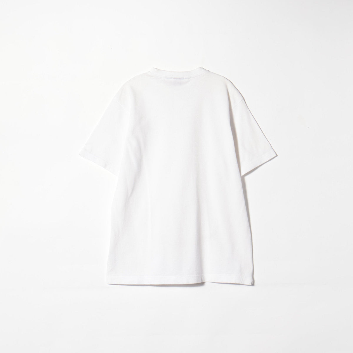 LACOSTE: 別注 カノコ ヘンリーネック Tシャツ 20SS