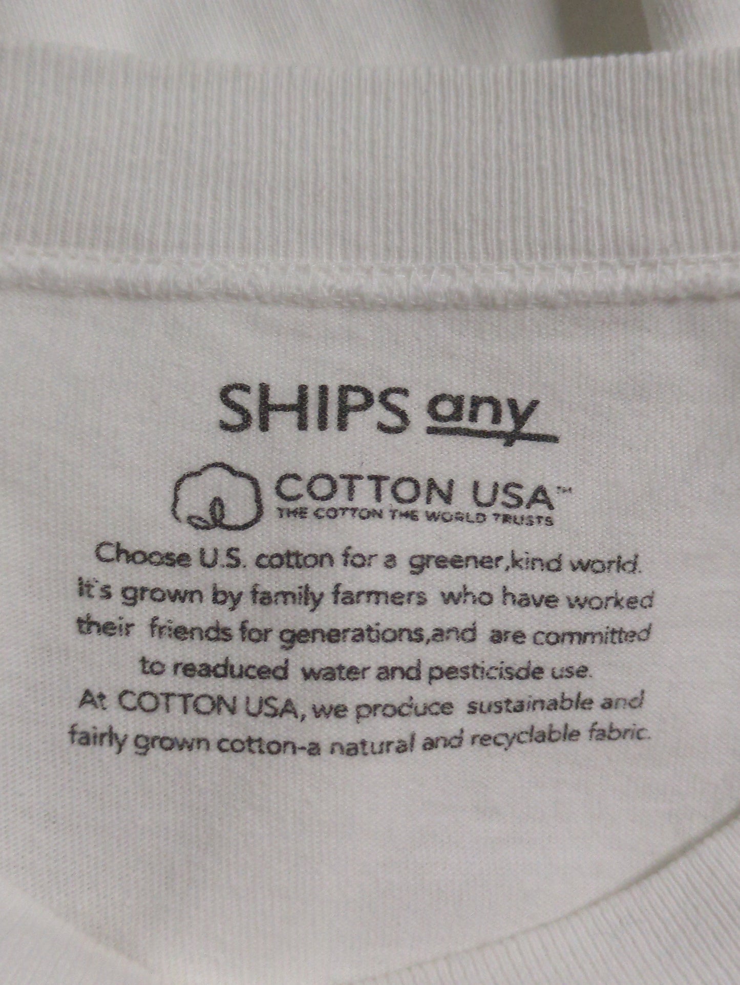 SHIPS any: "COTTON USA" 6oz オーバーサイズ キャンプポケット Tシャツ