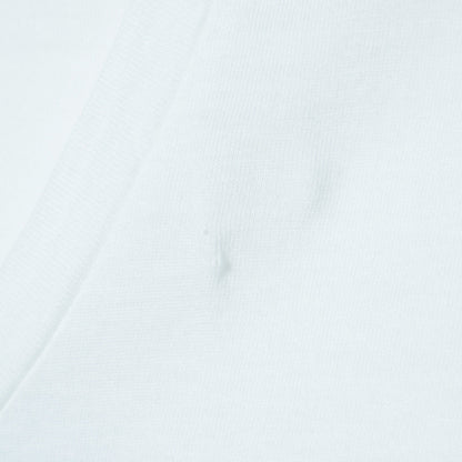 MOLLUSK:SILVER FIN