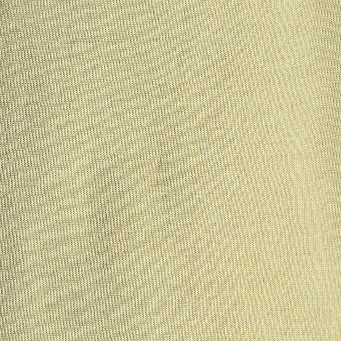 SHIPS:Tシャツ/カットソー