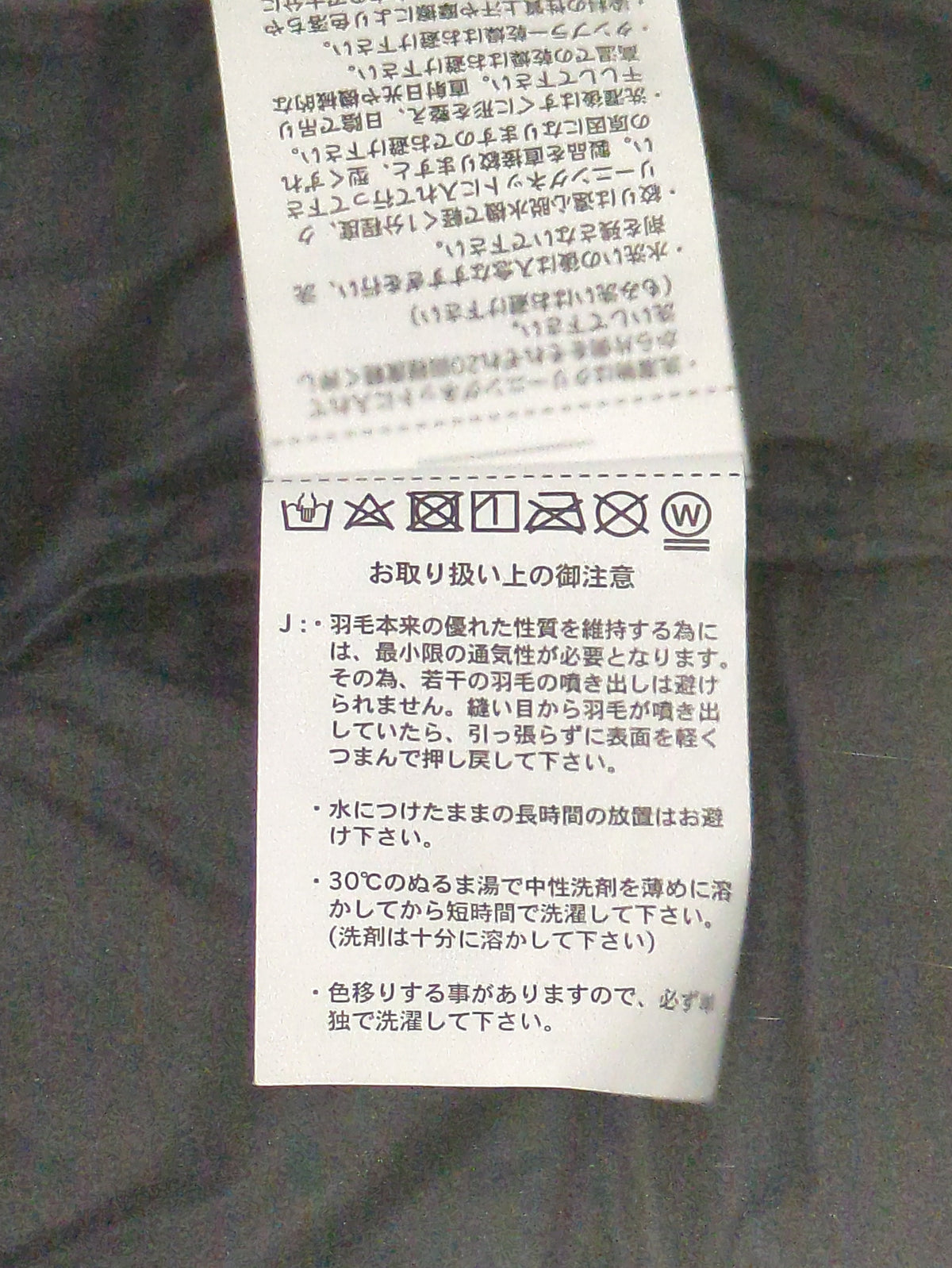 TAION:ダウン