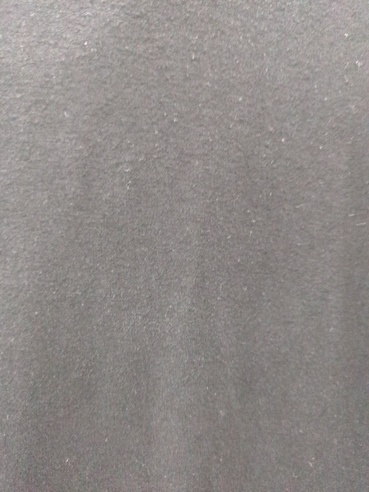 SHIPS:Tシャツ/カットソー