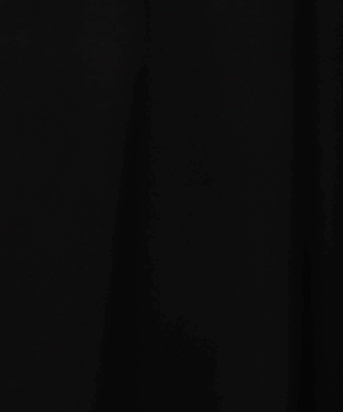 ALBINI ビッグTシャツ