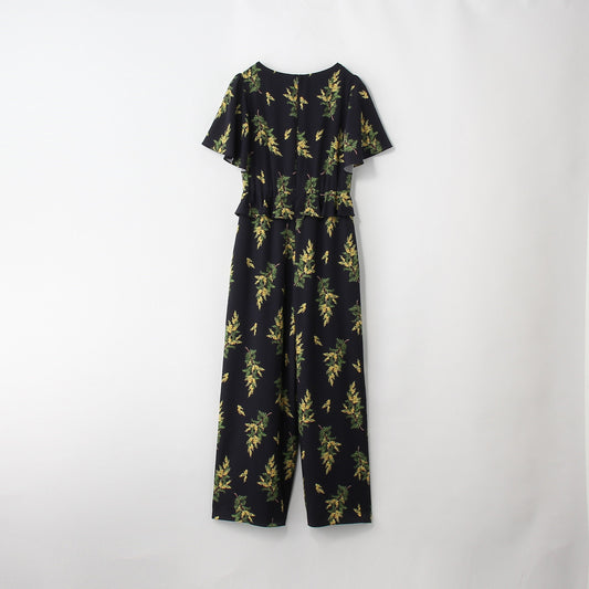 troisiemeCHACO:ワンピース