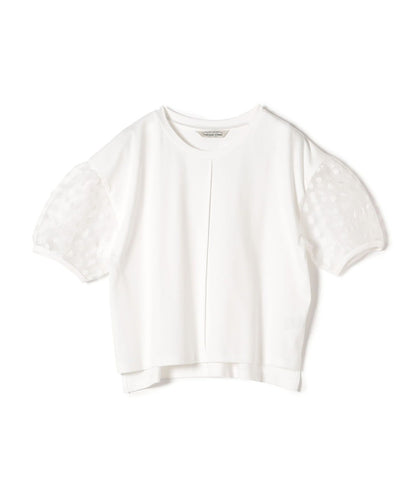 TORRAZZO DONNA:〈手洗い可能〉ドット シアー スリーブ カットソー