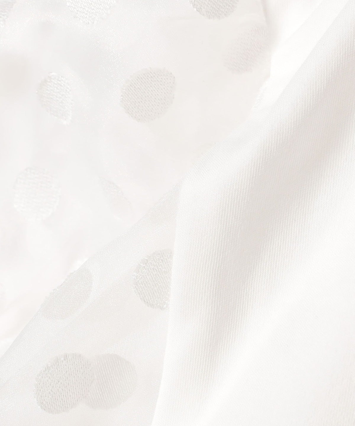 TORRAZZO DONNA:〈手洗い可能〉ドット シアー スリーブ カットソー