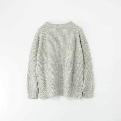 SHIPS:WL/NYN AZE BTL/N POV