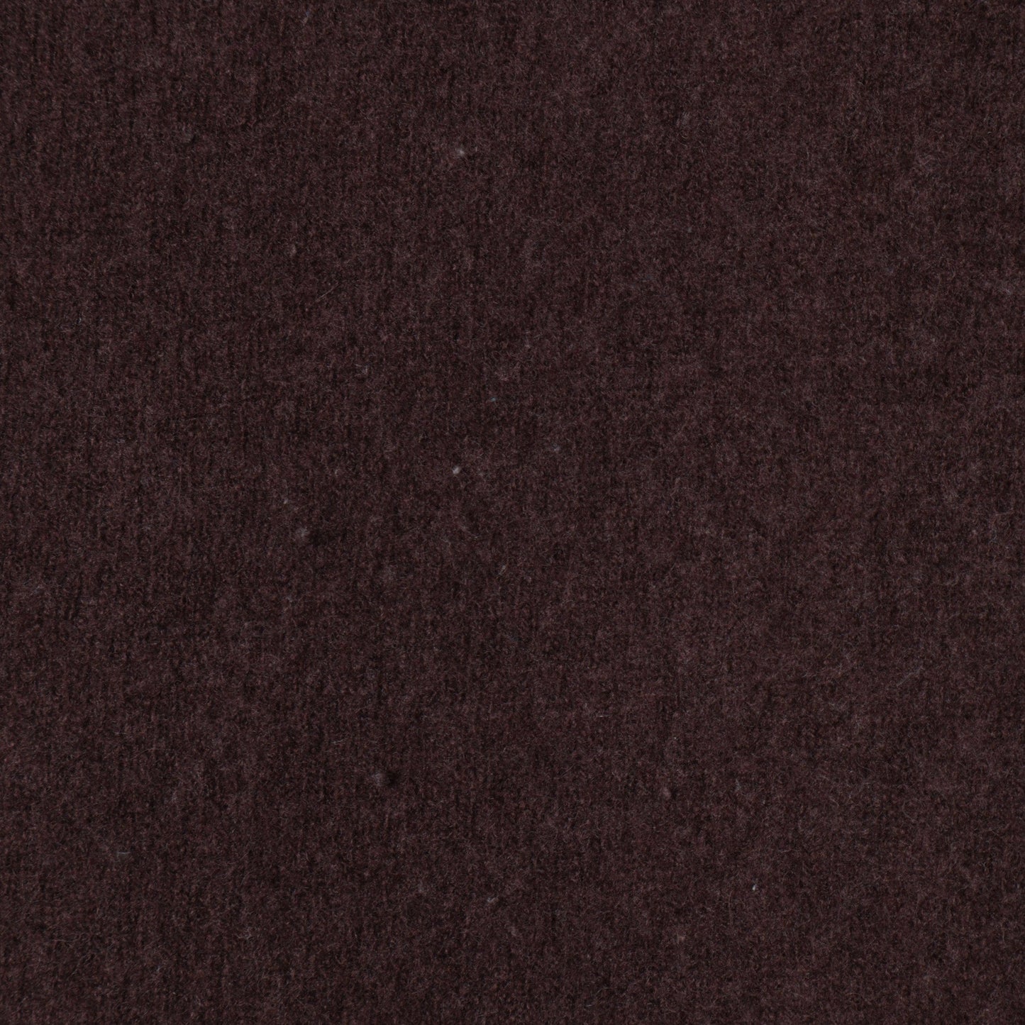 SHANGHAY YLANGTING TRADE CO. L:ニット/セーター