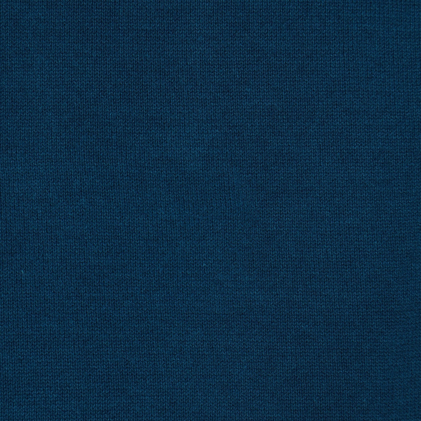 SHIPS: ニットドッキング Tシャツ