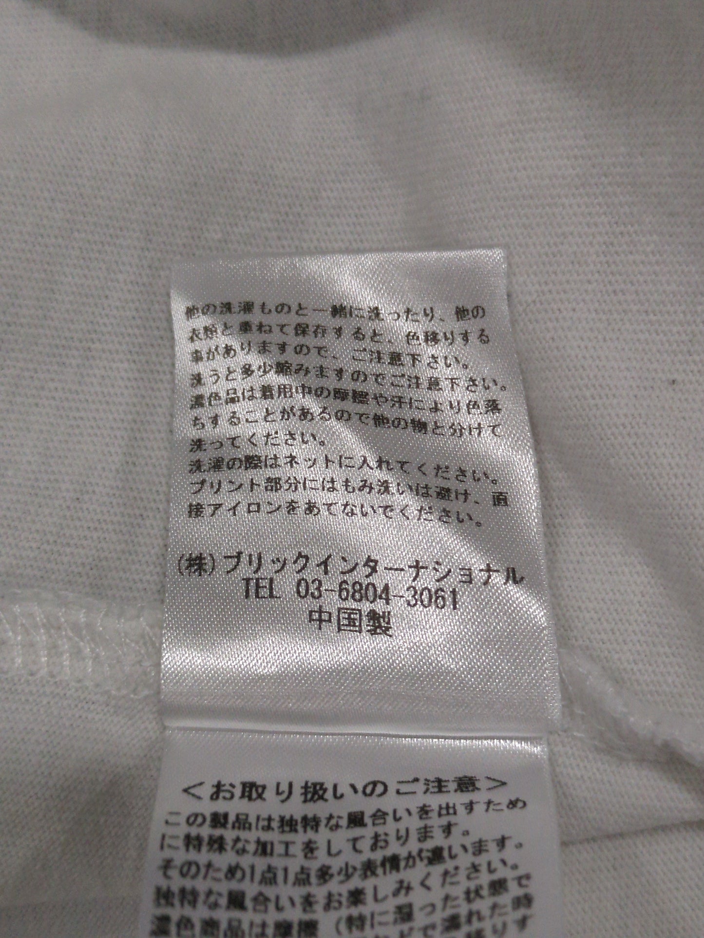 【SHIPS別注】81BRANCA:5分袖 ロゴ TEE 24SS