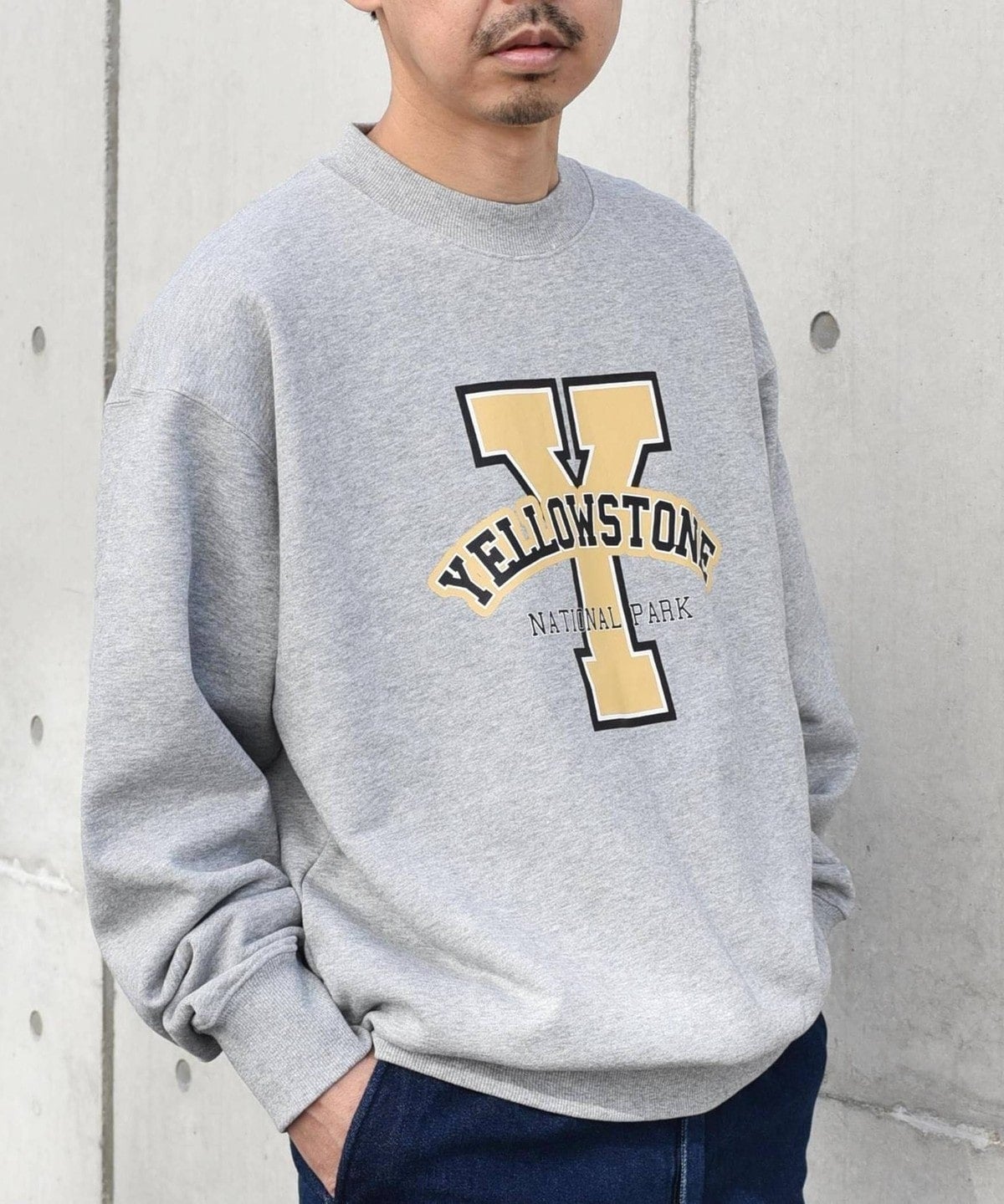 【WEB限定】SHIPS any: NATIONAL PARK プリント スウェット 23AW