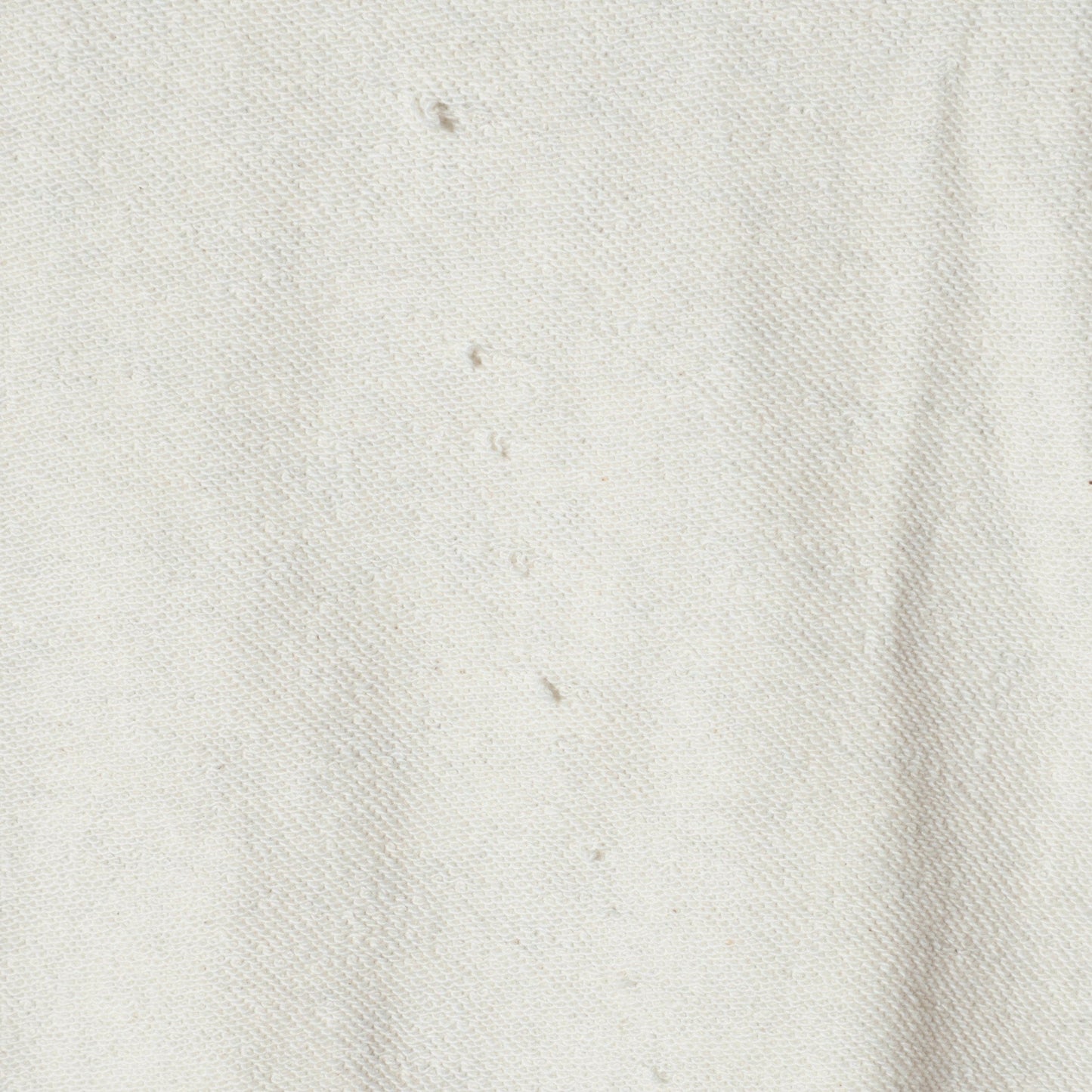 SHIPS any: COTTON USA ルーズ クルーネック 裏毛 スウェット