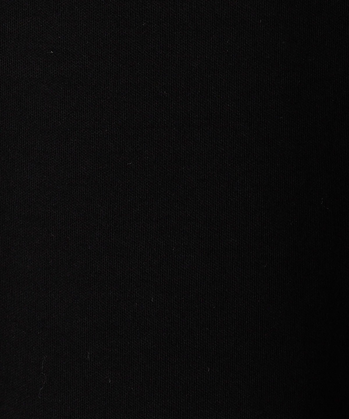 SHIPS: 日本製 プラチナフェイス モックネック ジャージ Tシャツ