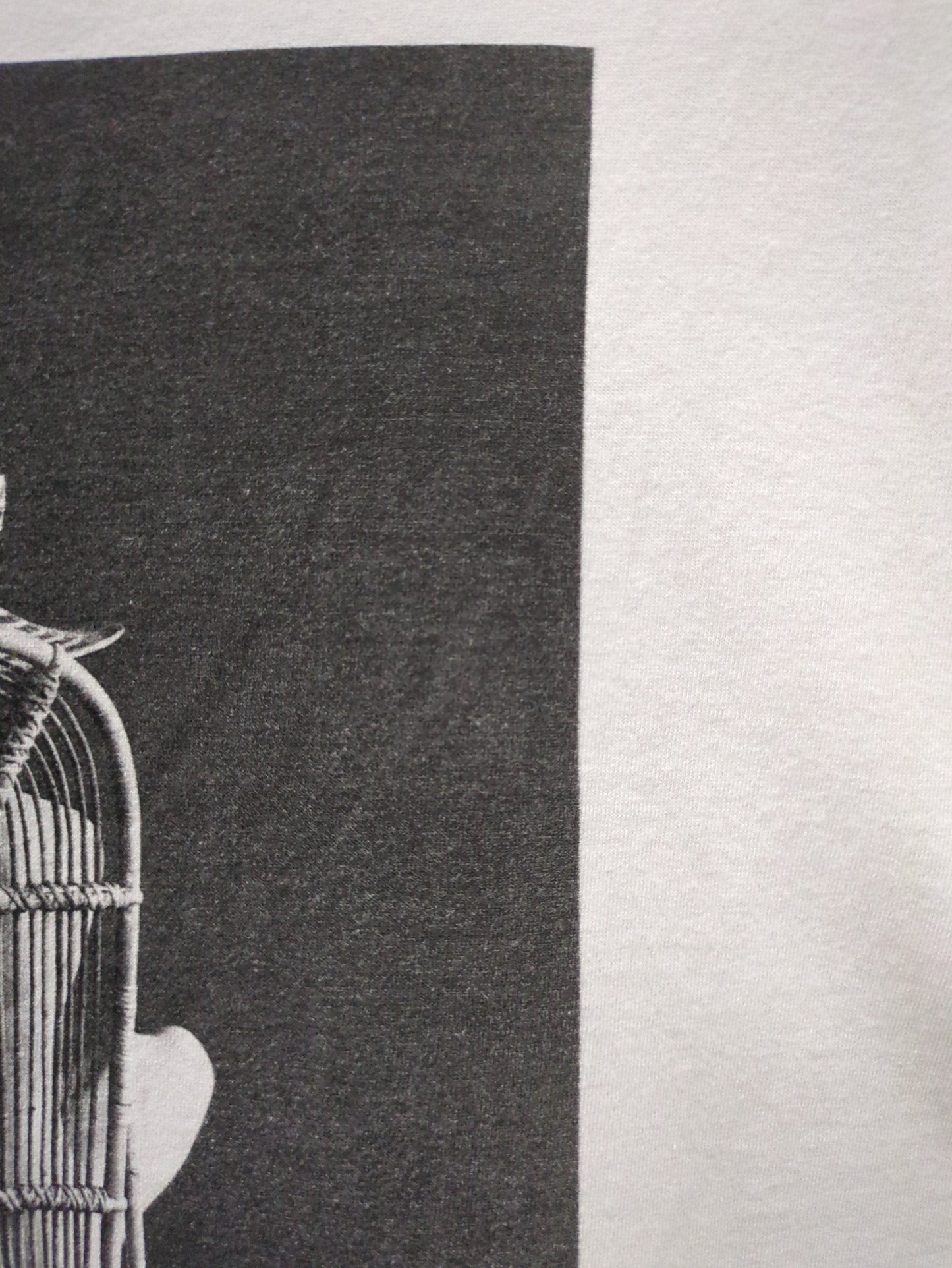 COUTRE D ADAM:Tシャツ/カットソー