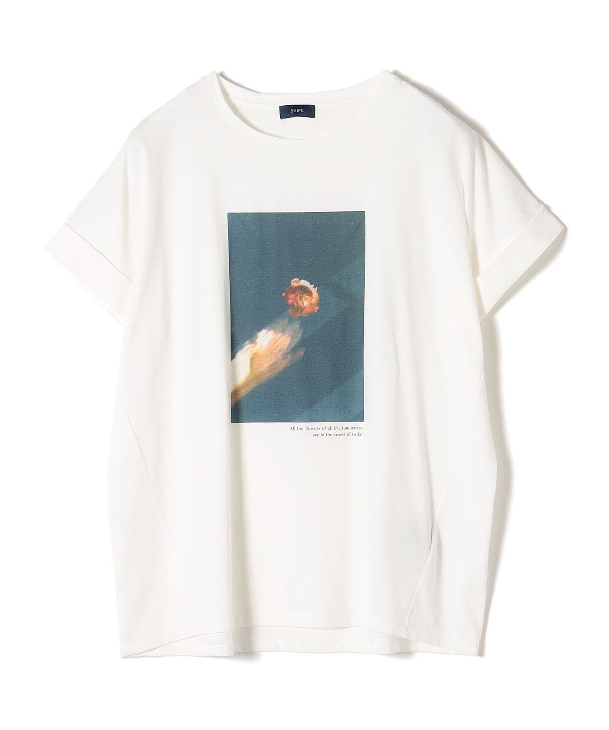 SHIPS:Tシャツ/カットソー