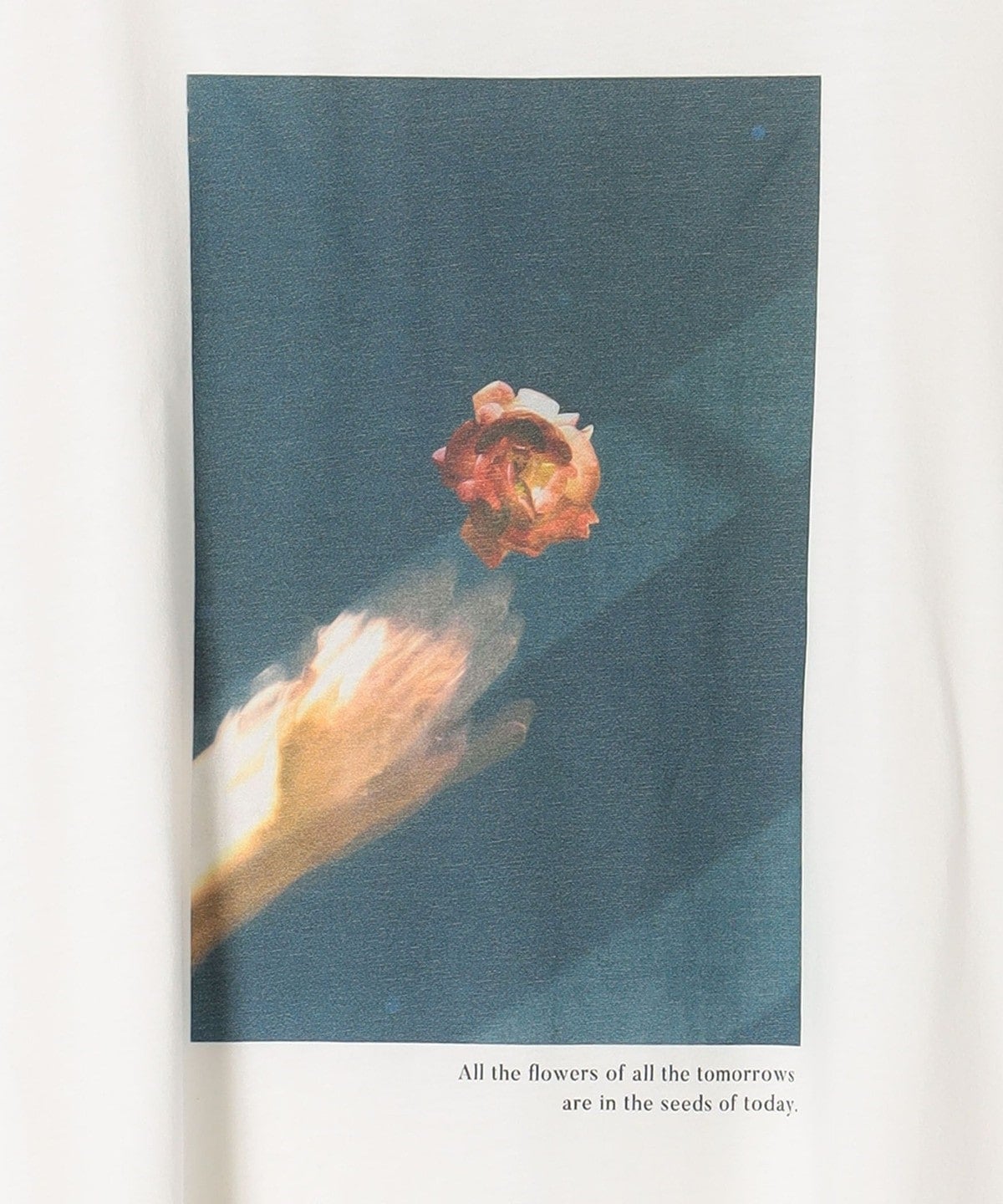 SHIPS:Tシャツ/カットソー