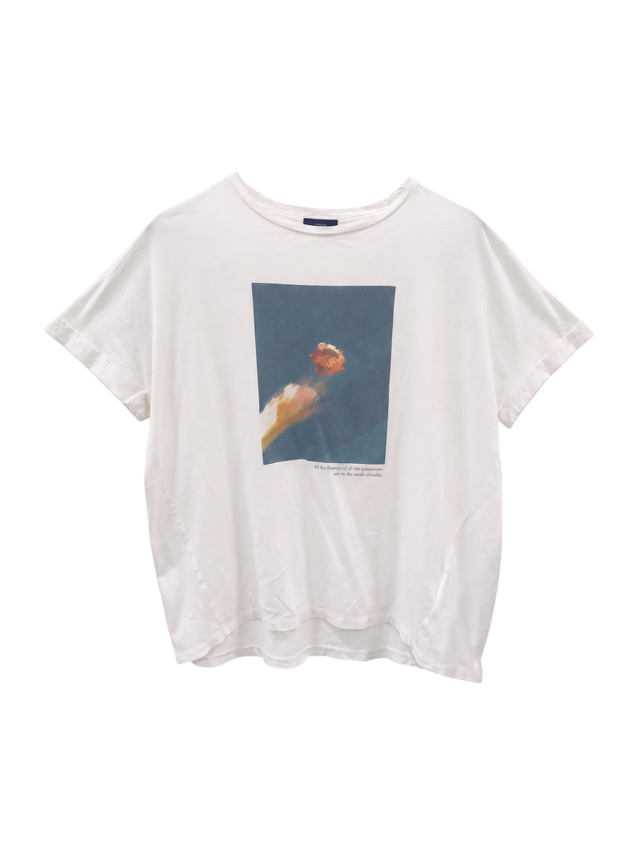 SHIPS:Tシャツ/カットソー