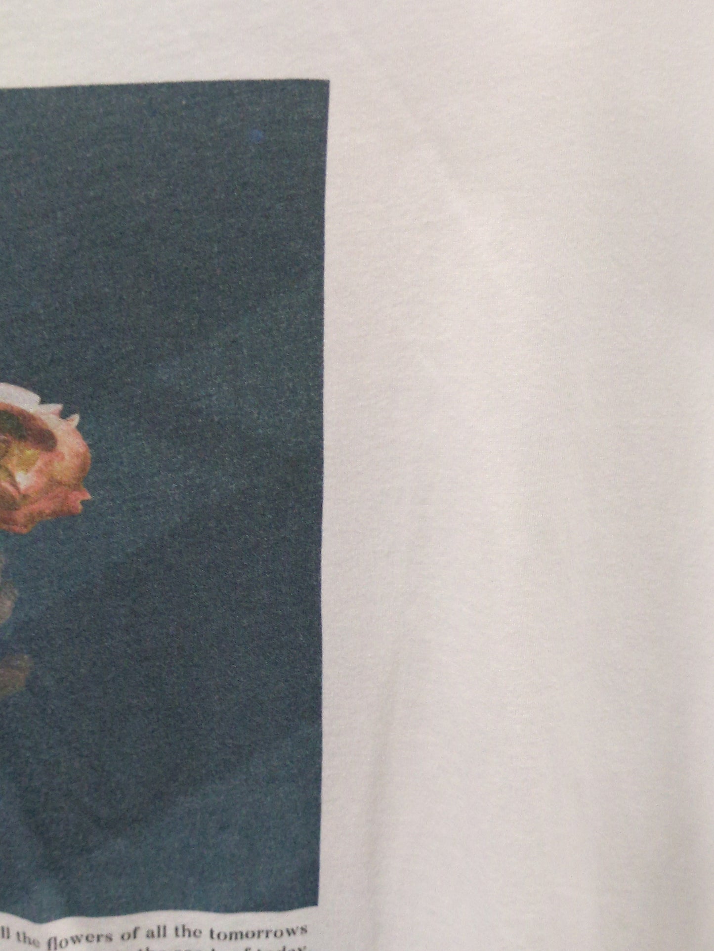 SHIPS:Tシャツ/カットソー