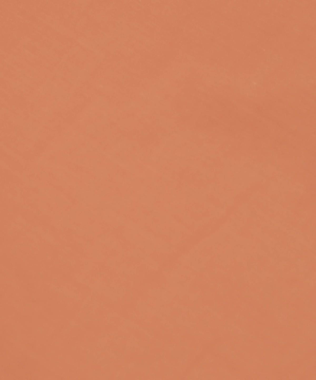 SHIPS:シャツ/ブラウス